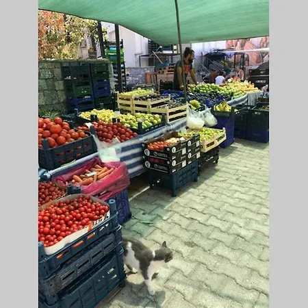 Coban's * Гюллюк
